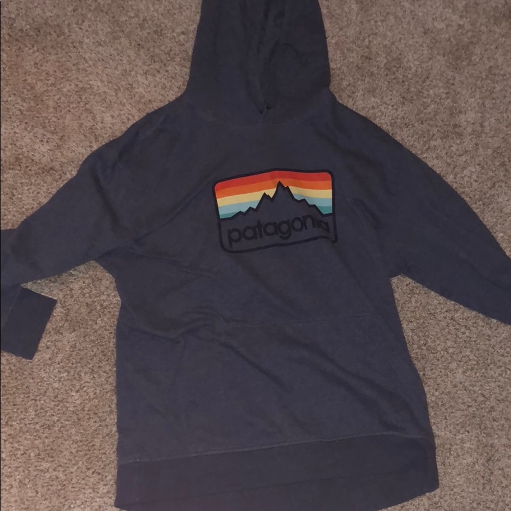 Patagonia Line Logo Badge Lightweight Hoodie